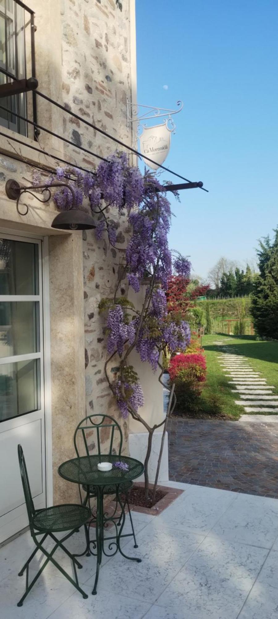 Relais Ca' Morenica Valeggio sul Mincio Zewnętrze zdjęcie