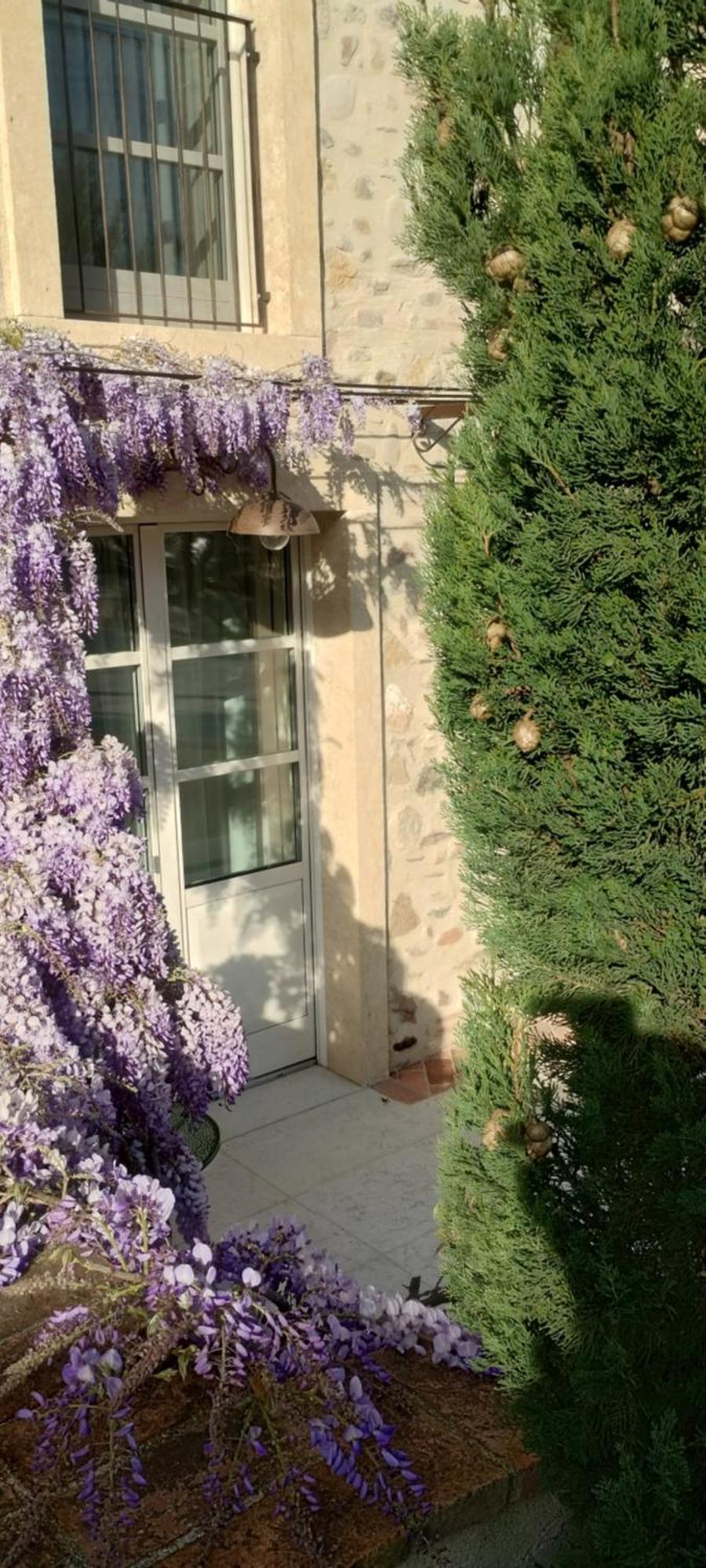 Relais Ca' Morenica Valeggio sul Mincio Zewnętrze zdjęcie