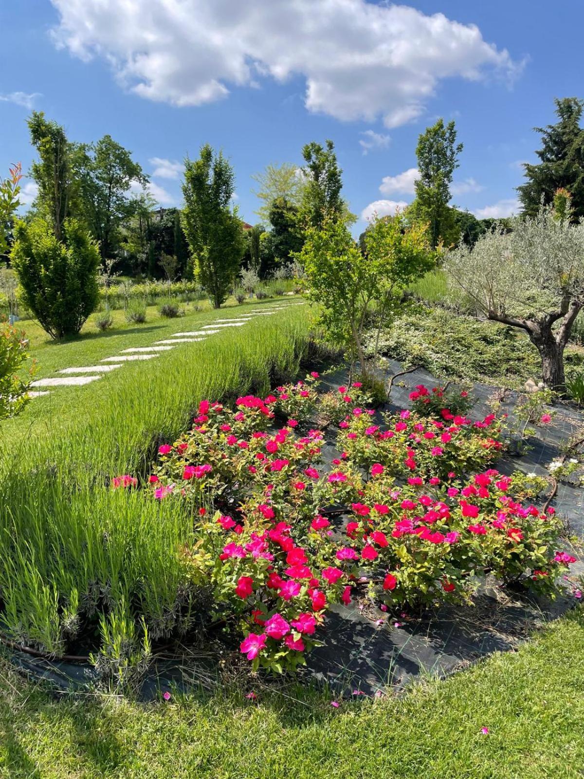 Relais Ca' Morenica Valeggio sul Mincio Zewnętrze zdjęcie