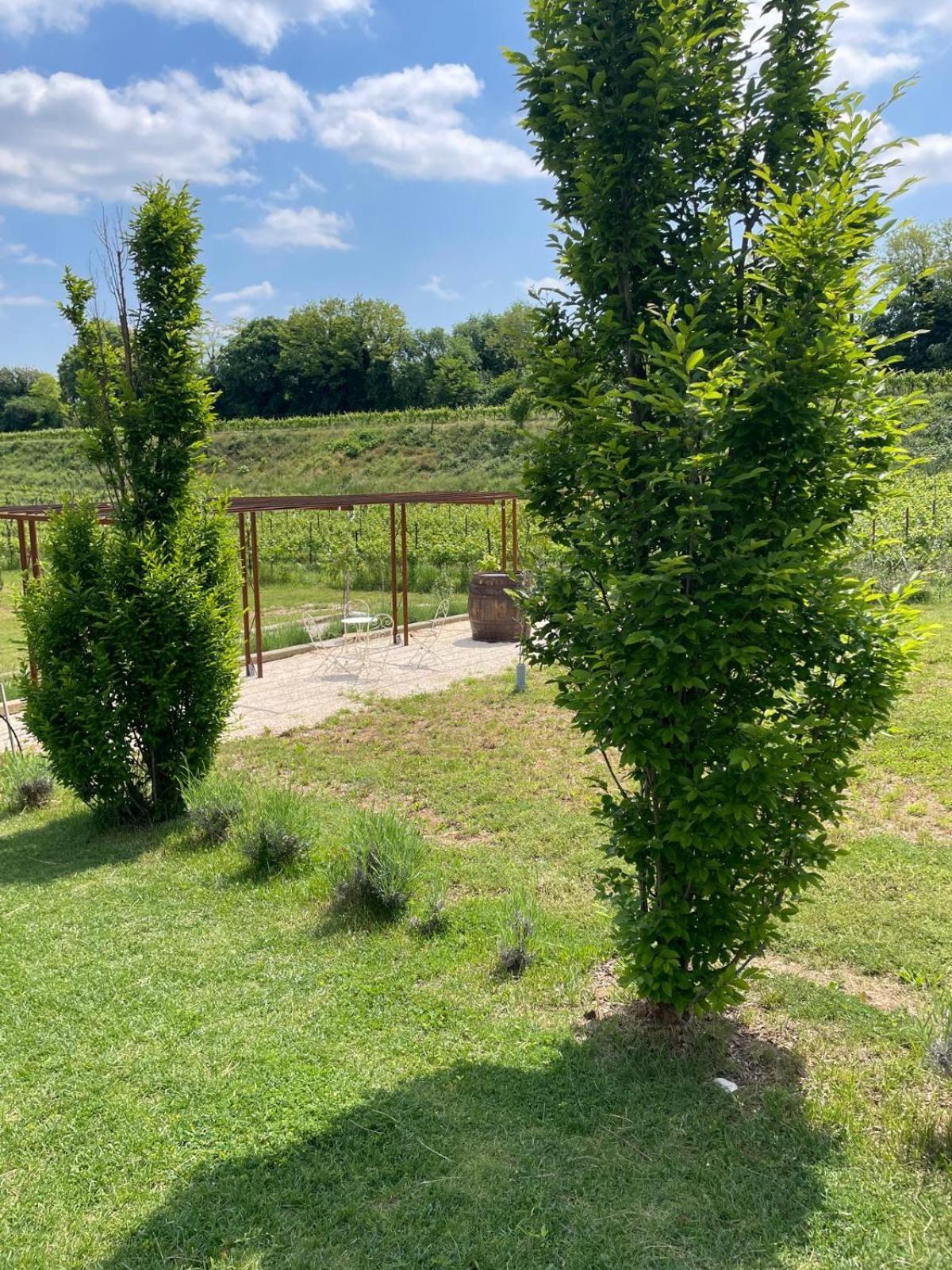 Relais Ca' Morenica Valeggio sul Mincio Zewnętrze zdjęcie